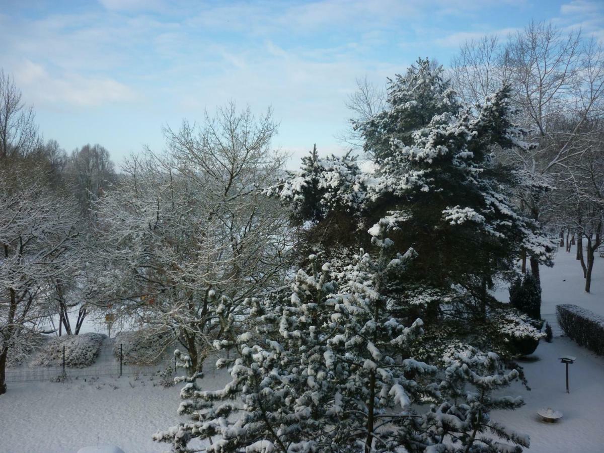 L'orée Du Parc à Appartement Belfort