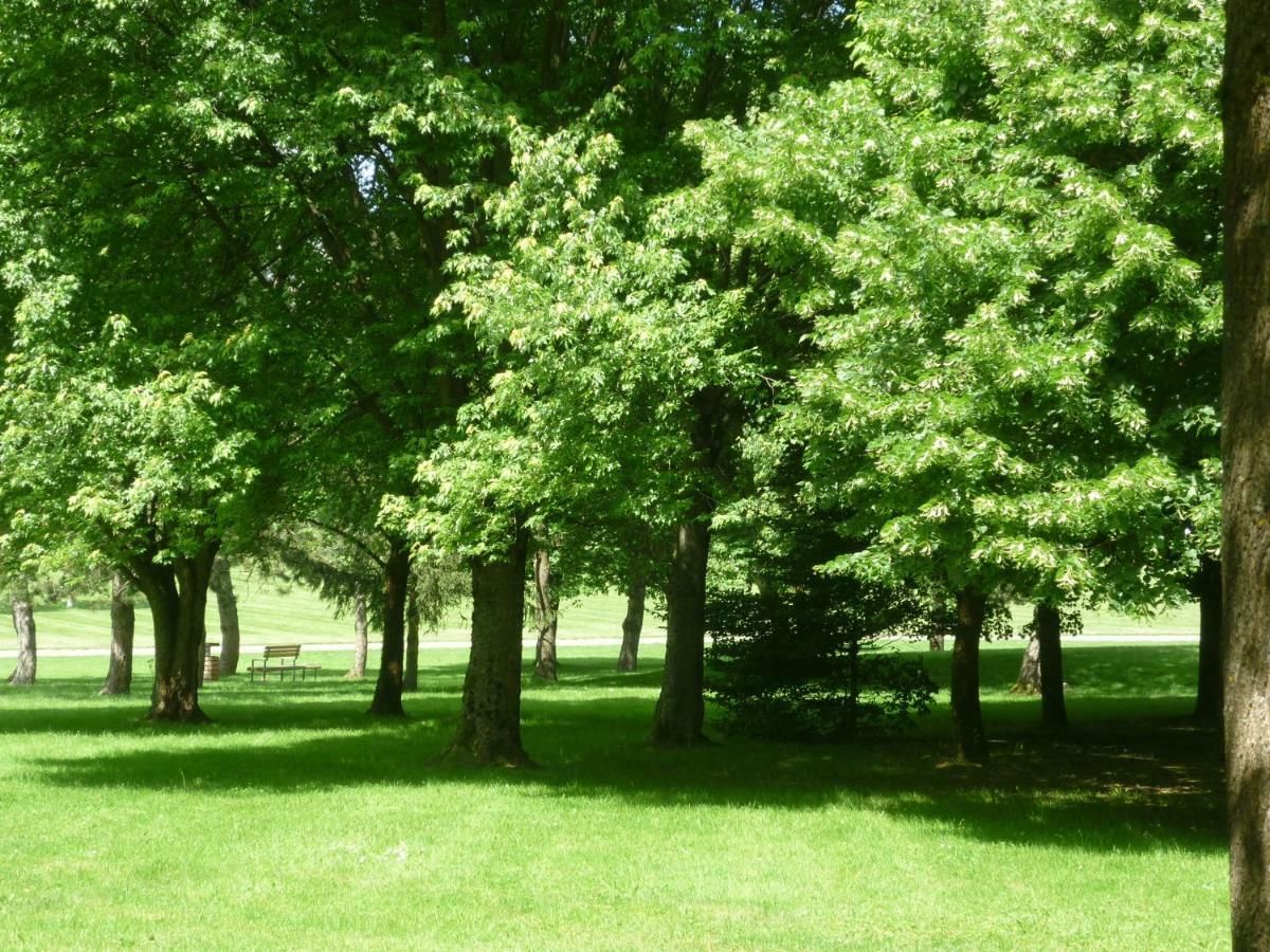 L'orée Du Parc à Appartement